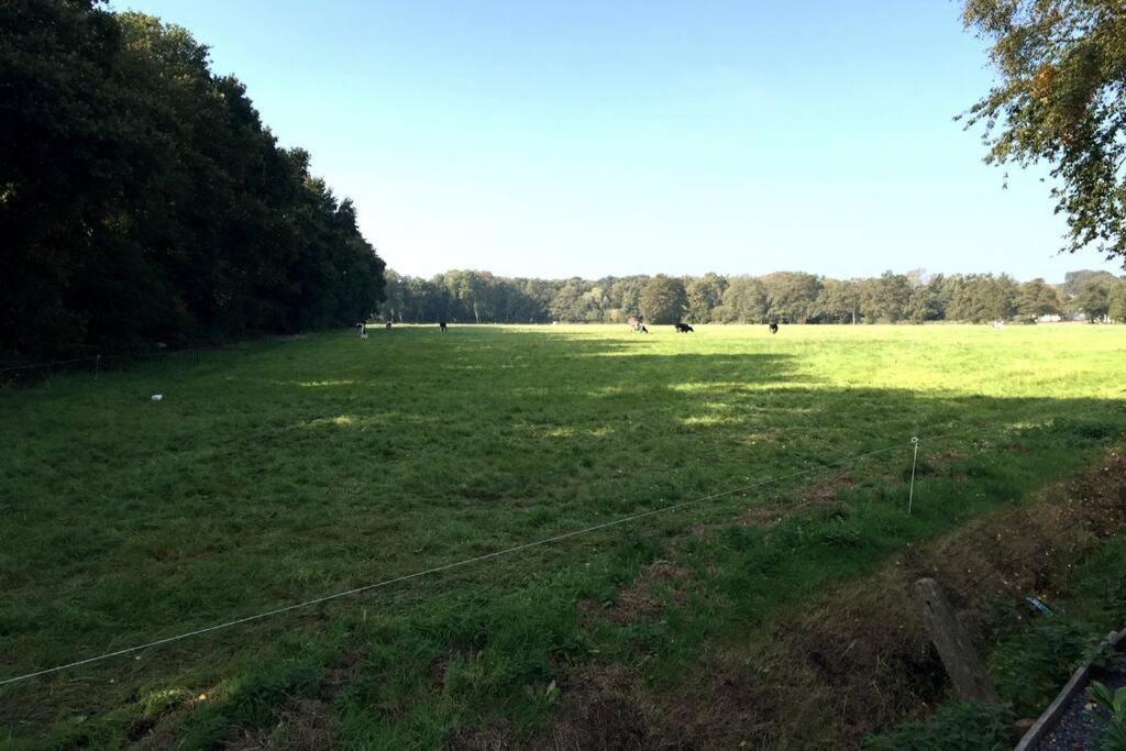 Natuurhuisje Veluwe Met Houtkachel En Pizzaoven Villa Ermelo Exterior foto